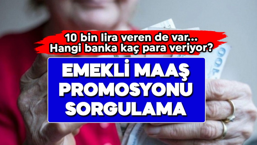 Emekli Maaş Promosyonu: 2025’te Hangi Banka Veriyor?