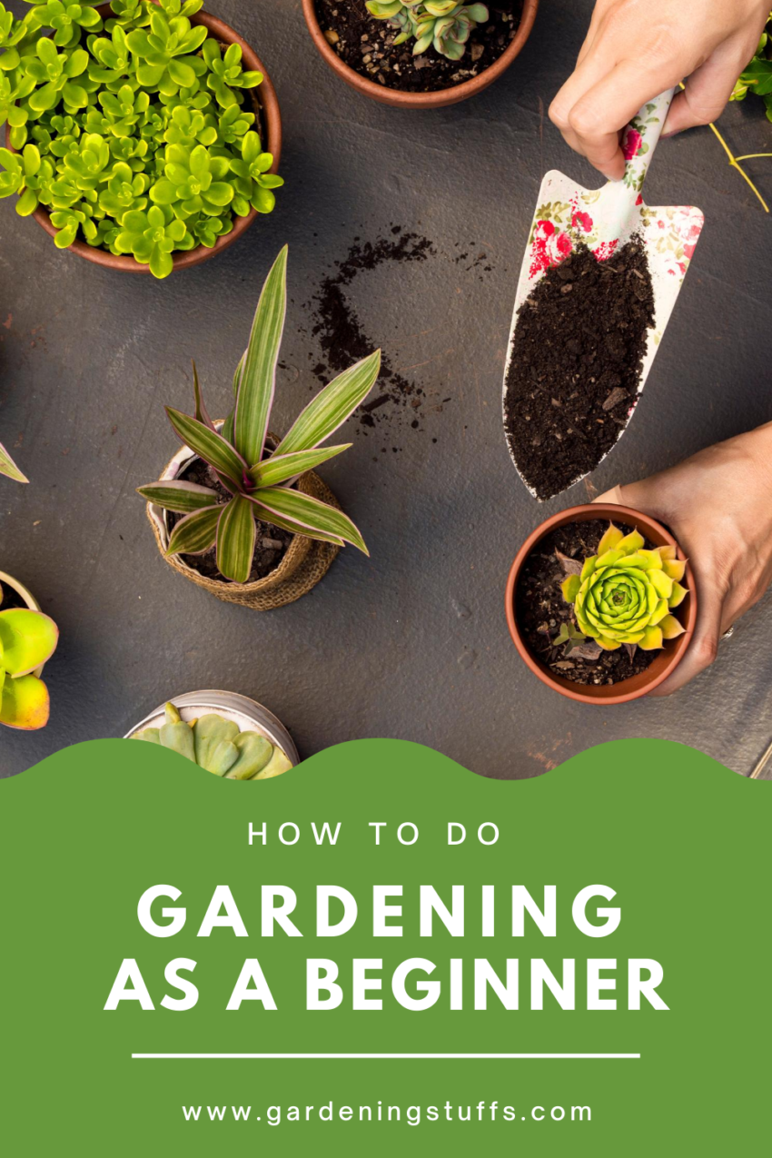 Gardening Tips: Essential Advice for Every Gardener