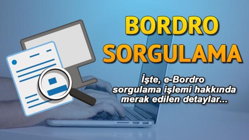 Maaş Bordrosu Sorgulama: e-Devlet Üzerinden Erişim